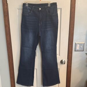Classic Blue Women's Jeans 1x